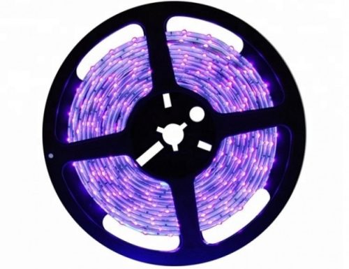 LEDmaster Prémium Lila UV LED szalag, 4,8W/m, IP65, 5m/ tekercs