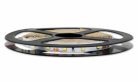 MasterLED LED szalag, 4,8W/m, 600lm/m, 6500K, IP65, 5 m / tekercs