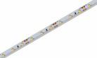 MasterLED LED szalag, 4,8W/m, 600lm/m, 6500K, IP65, 5 m / tekercs