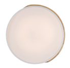 Maple, beltéri, mennyezeti ,LED 24W,fa/m.fehér,D42cm