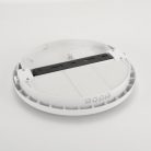 Beata