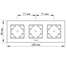 Videx Binera rosegold színű alumínium hármas vízszintes keret (6/48)