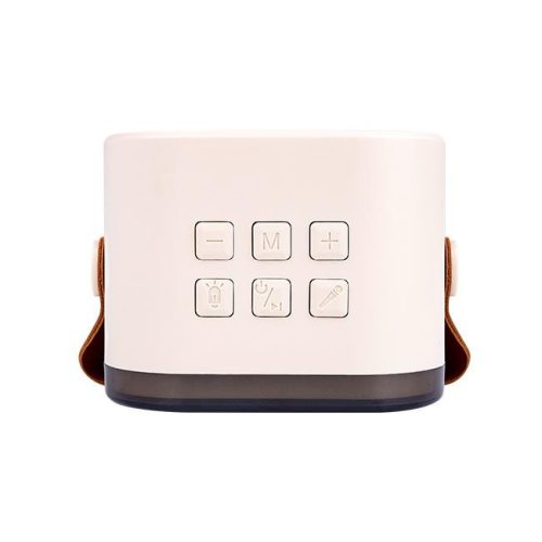 MasterLED Hordozható karaoke szett Bluetooth hangszóróval és 2 mikrofonnal