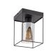 Chadwick, beltéri mennyezeti E27 1xMAX25W, H20cm