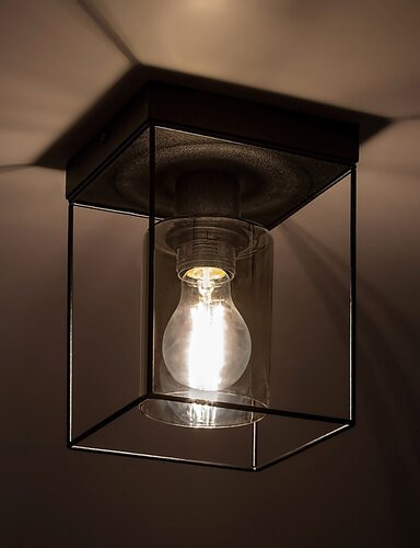 Chadwick, beltéri mennyezeti E27 1xMAX25W, H20cm