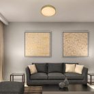 Tesia, beltéri mennyezeti LED36W, D40cm, arany