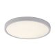 Paulos, beltéri mennyezeti LED24W, D30cm, fehér
