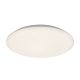 Rorik, beltéri mennyezeti LED18W, D28cm