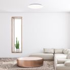 Rorik, beltéri mennyezeti LED18W, D28cm