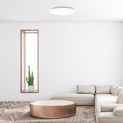 Rorik, beltéri mennyezeti LED18W, D28cm
