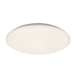 Rorik, beltéri mennyezeti LED24W, D38cm