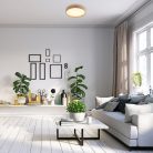 Leana2, beltéri mennyezeti LED12W, D26cm, bükk