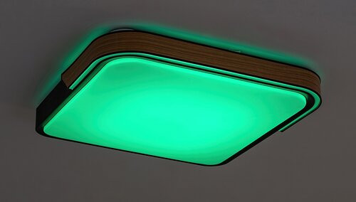Arild, beltéri mennyezeti LED48W, 50x48cm