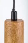 Dollien, beltéri függőlámpa E27 1xMAX60W, H210cm