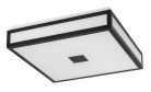 Zoya, beltéri mennyezeti LED24W, 40x40cm, fekete