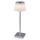 Taena, beltéri asztali, LED4W, H38cm, ezüst