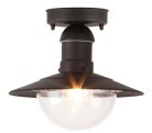 Oslo kültéri mennyezeti E27 60W fekete IP44