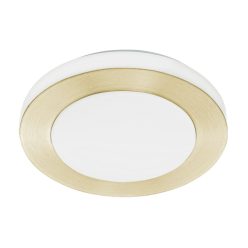 LED CARPI Fali-mennyezeti lámpa