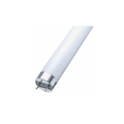 Fénycső 10W T8 840 345mm FL1120/842