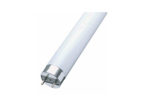 Fénycső 10W T8 840 345mm FL1120/842